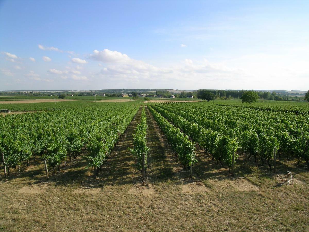 Landreau Daire La Riche Dış mekan fotoğraf
